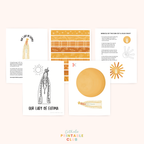Our Lady of the Fatima Activity Bundle: Coloring Page & Miracle of the Sun Craft
