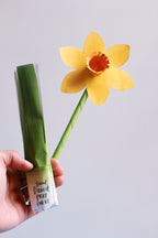 St. David of Wales Activity Bundle: Coloring Page & Leek and Daffodil Craft