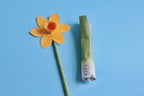 St. David of Wales Activity Bundle: Coloring Page & Leek and Daffodil Craft