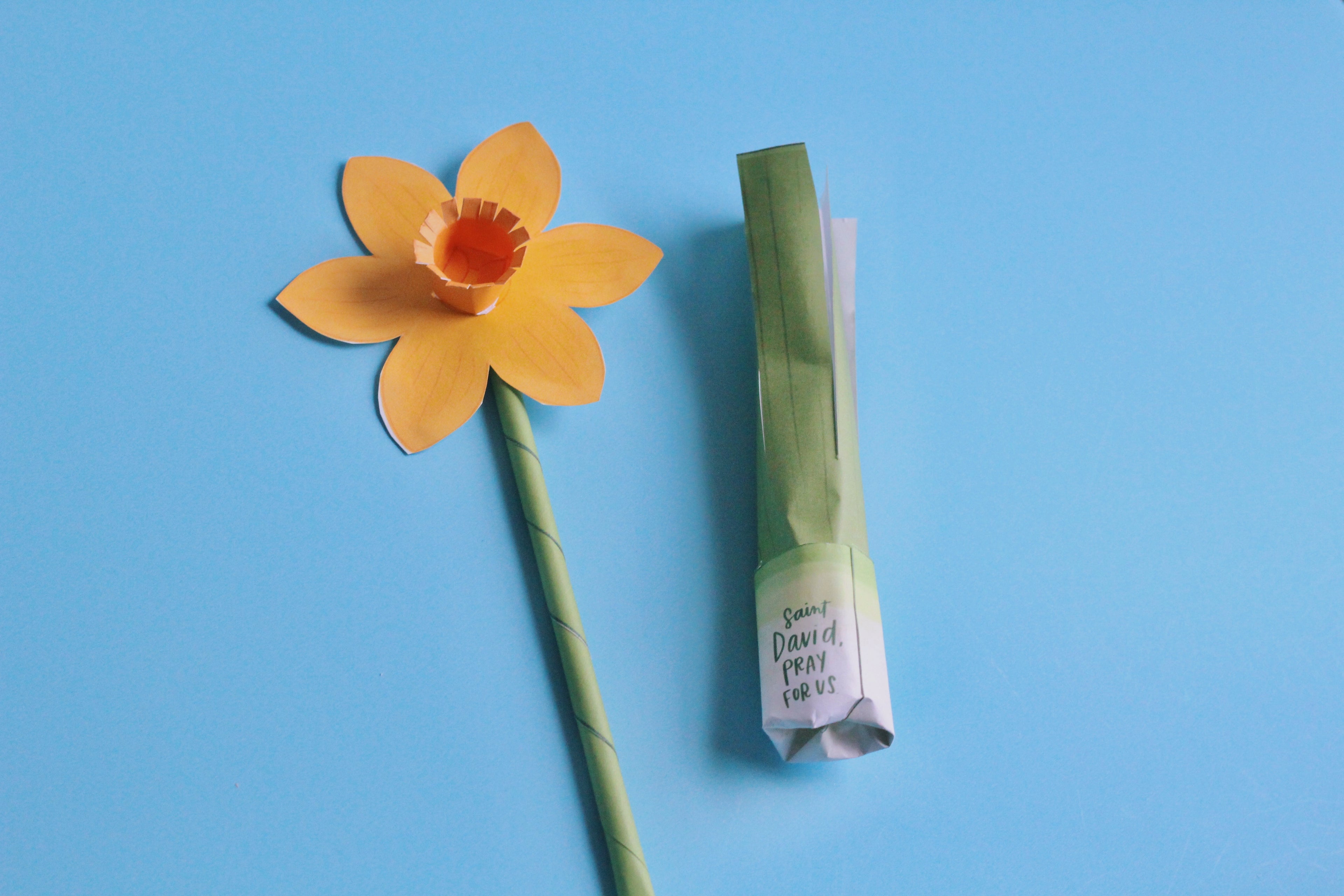 St. David of Wales Activity Bundle: Coloring Page & Leek and Daffodil Craft