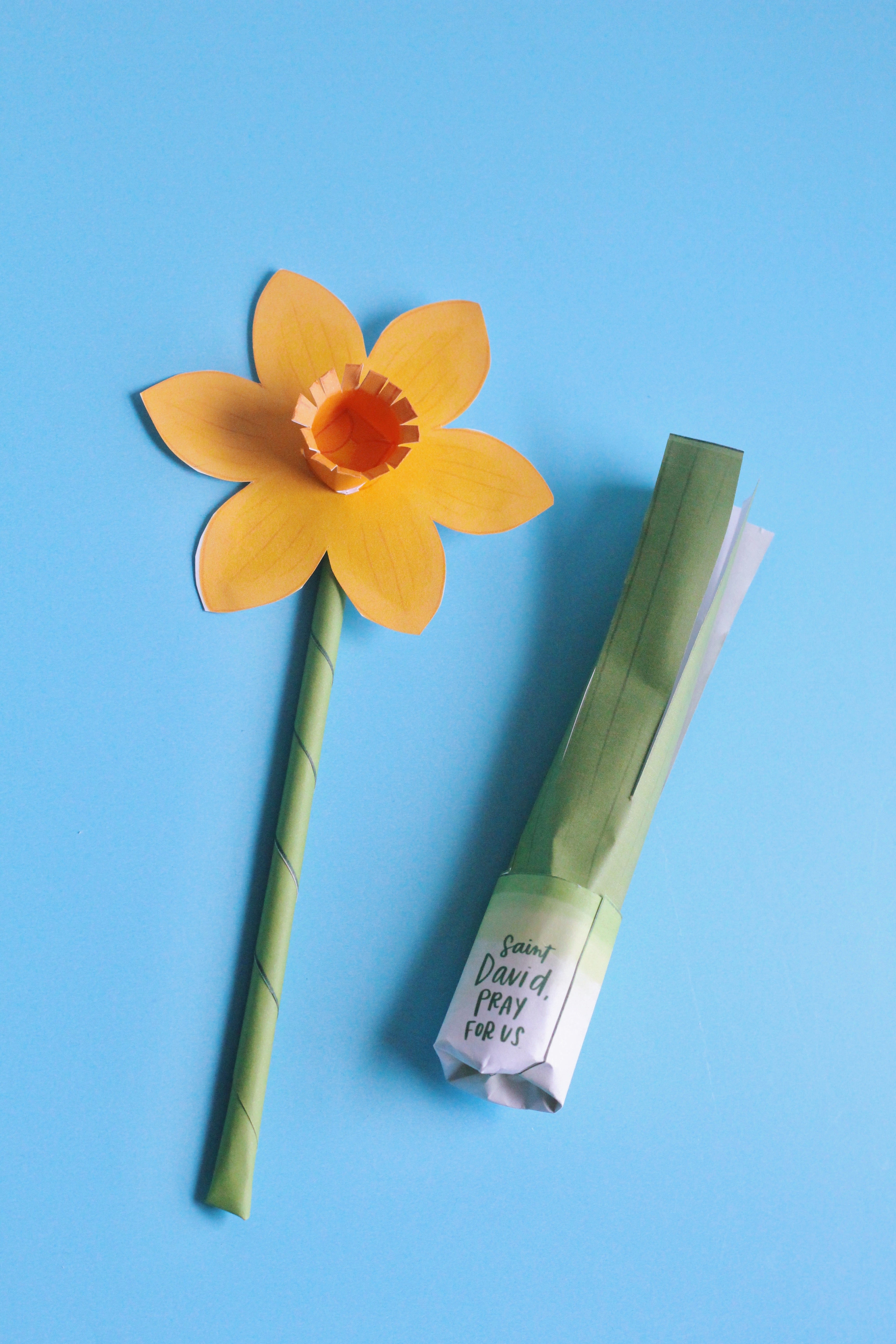 St. David of Wales Activity Bundle: Coloring Page & Leek and Daffodil Craft