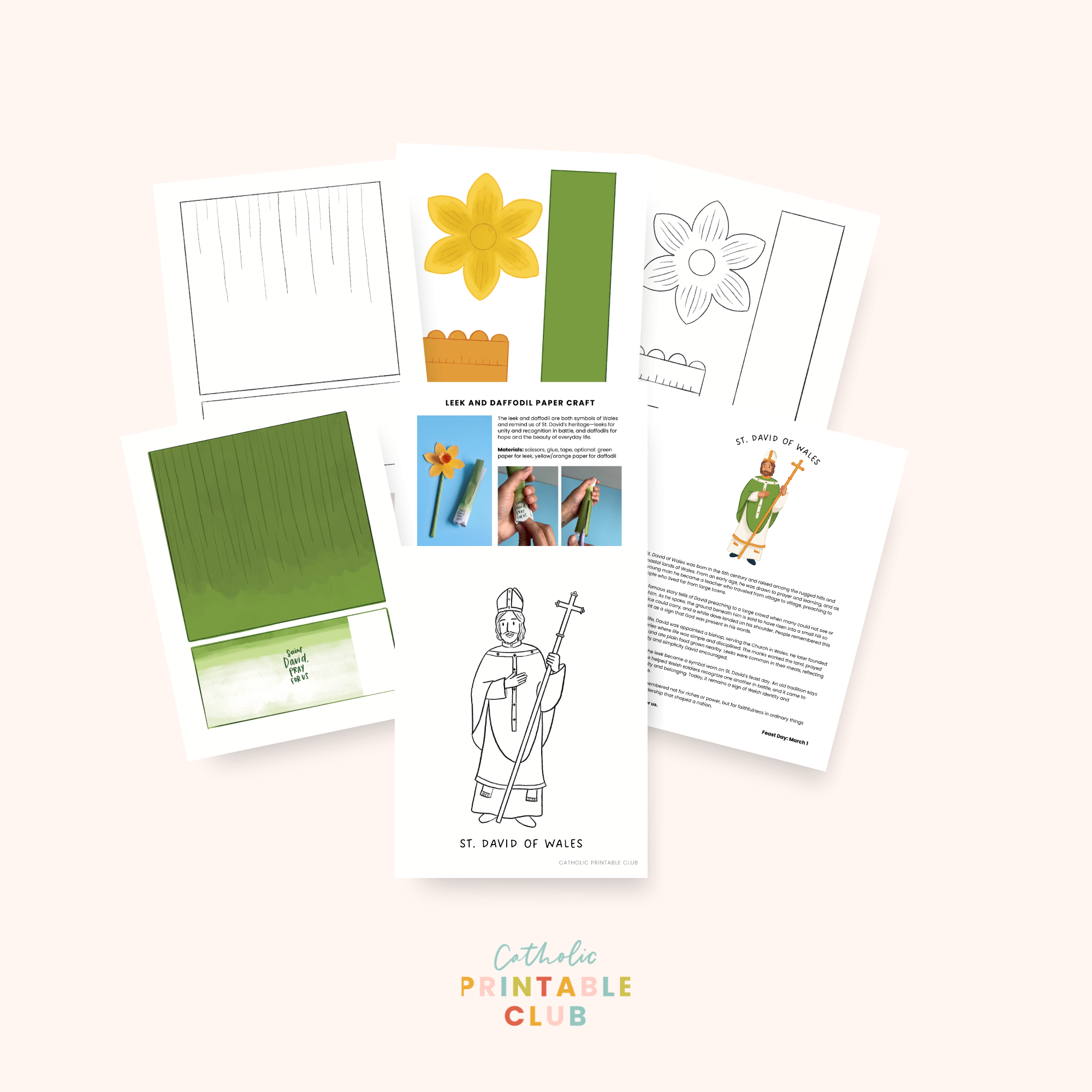 St. David of Wales Activity Bundle: Coloring Page & Leek and Daffodil Craft
