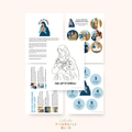 Our Lady of Sorrows Activity Bundle: Coloring Page, Fact Sheet, Seven Sorrows Number Matching