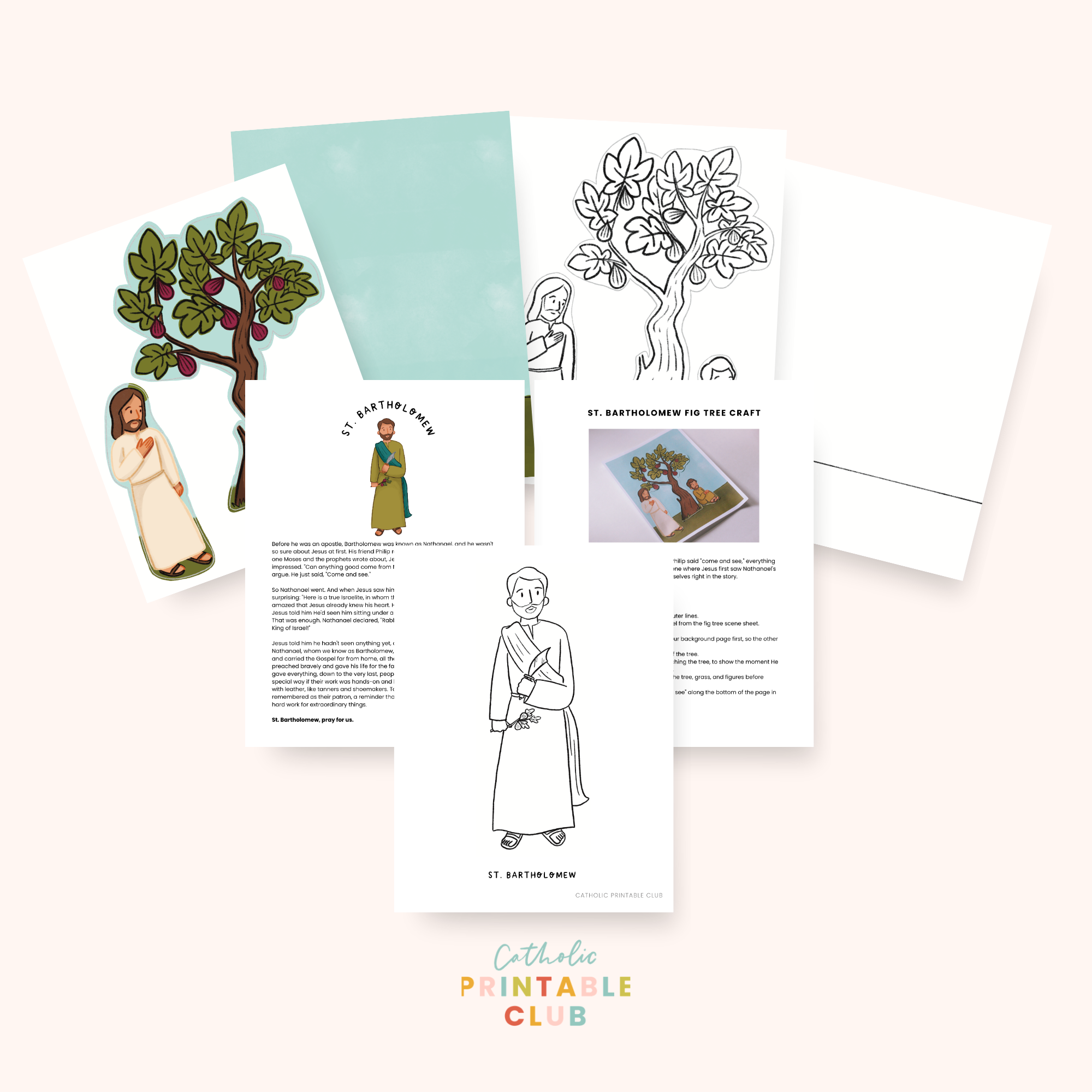 St. Bartholomew Activity Bundle – Classroom License